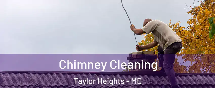 Chimney Cleaning Taylor Heights - MD