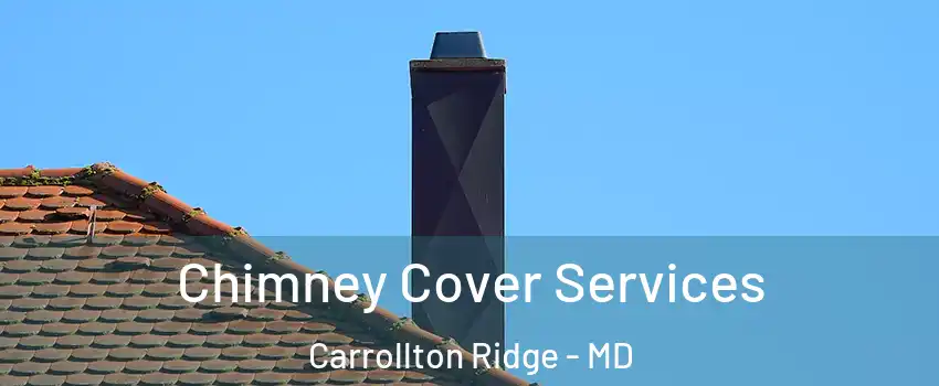 Chimney Cover Services Carrollton Ridge - MD