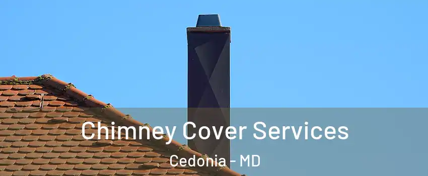 Chimney Cover Services Cedonia - MD