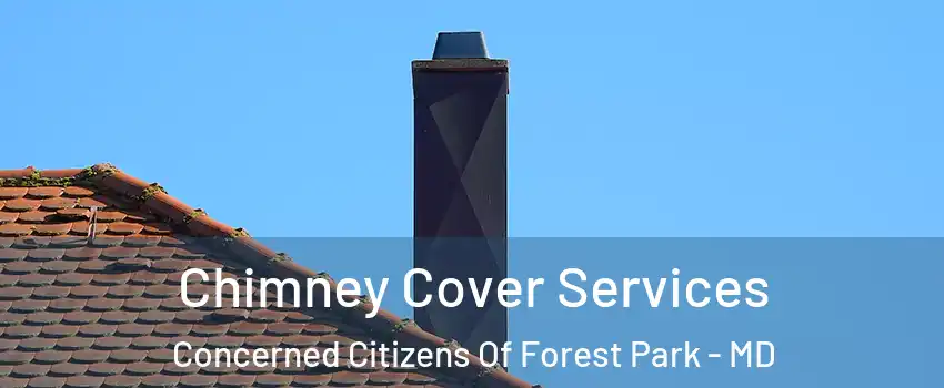 Chimney Cover Services Concerned Citizens Of Forest Park - MD