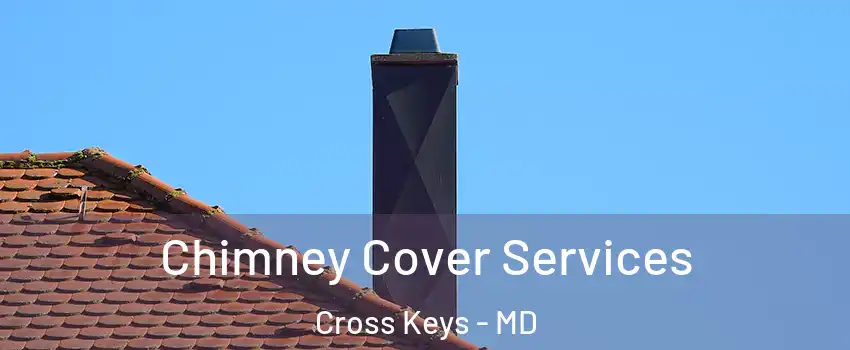 Chimney Cover Services Cross Keys - MD