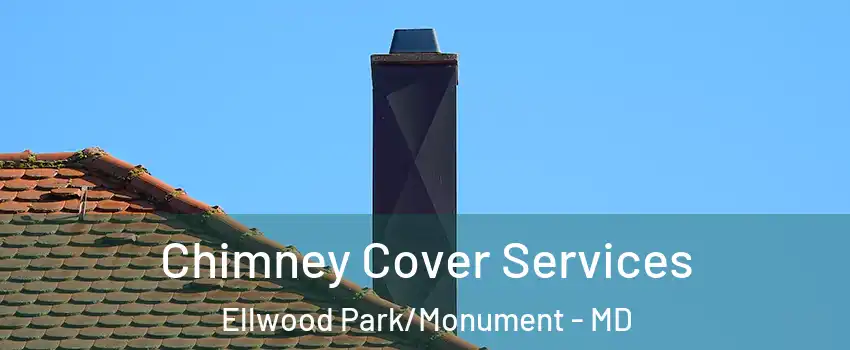 Chimney Cover Services Ellwood Park/Monument - MD