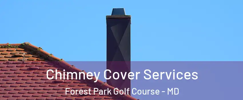 Chimney Cover Services Forest Park Golf Course - MD