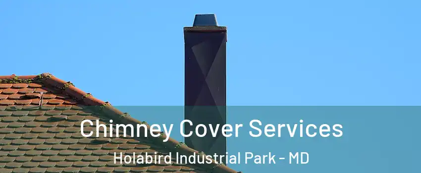Chimney Cover Services Holabird Industrial Park - MD