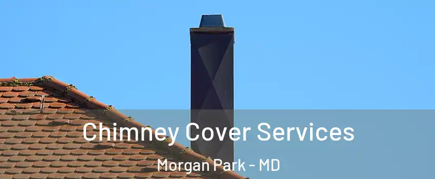 Chimney Cover Services Morgan Park - MD