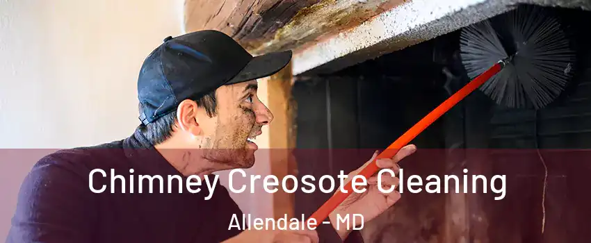 Chimney Creosote Cleaning Allendale - MD