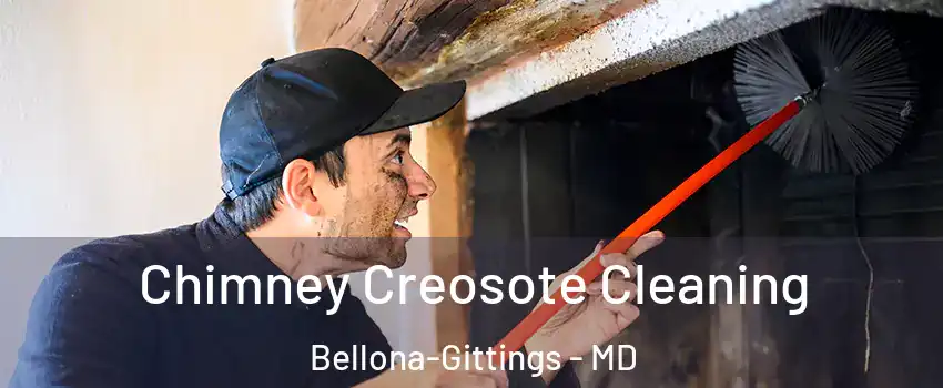 Chimney Creosote Cleaning Bellona-Gittings - MD