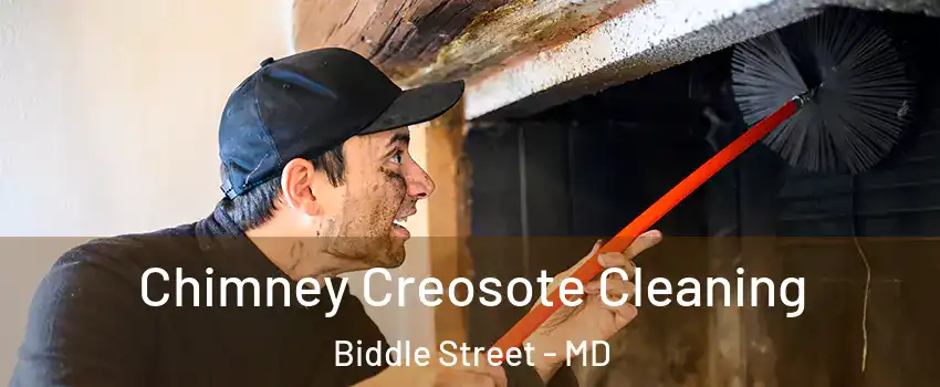 Chimney Creosote Cleaning Biddle Street - MD