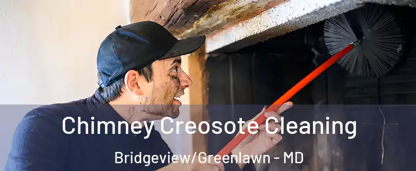 Chimney Creosote Cleaning Bridgeview/Greenlawn - MD