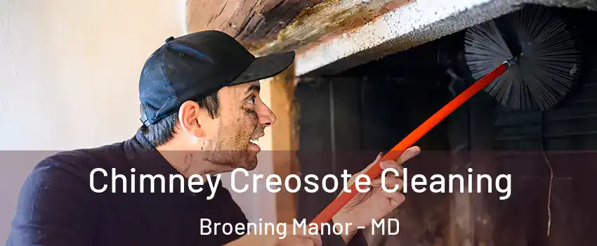 Chimney Creosote Cleaning Broening Manor - MD
