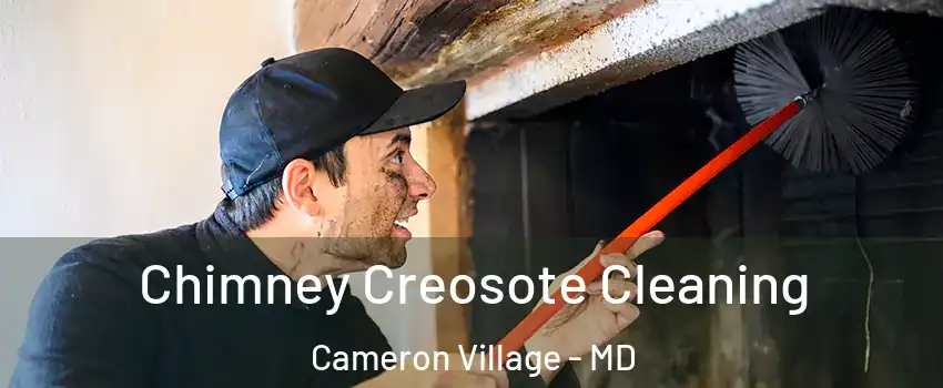 Chimney Creosote Cleaning Cameron Village - MD