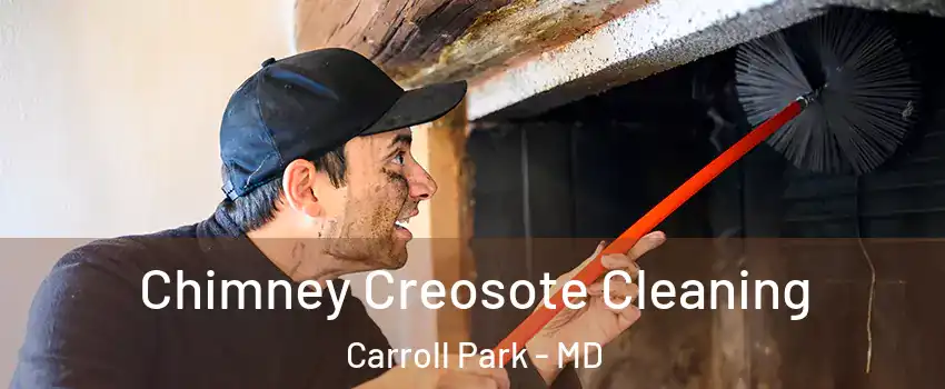 Chimney Creosote Cleaning Carroll Park - MD