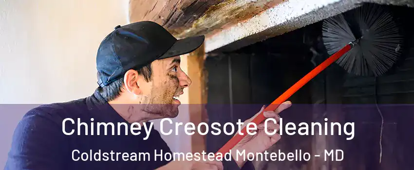 Chimney Creosote Cleaning Coldstream Homestead Montebello - MD