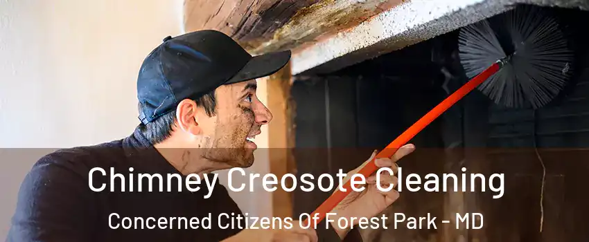 Chimney Creosote Cleaning Concerned Citizens Of Forest Park - MD