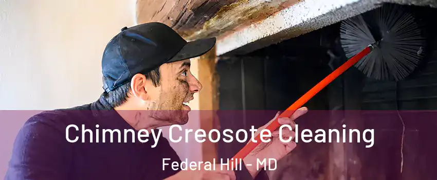 Chimney Creosote Cleaning Federal Hill - MD