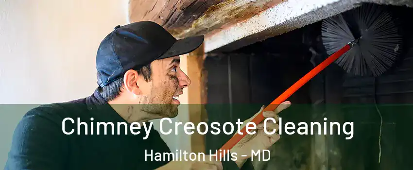 Chimney Creosote Cleaning Hamilton Hills - MD