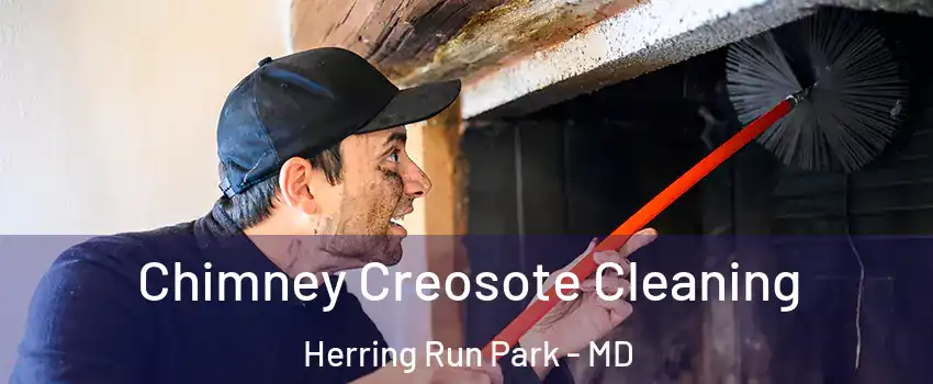 Chimney Creosote Cleaning Herring Run Park - MD