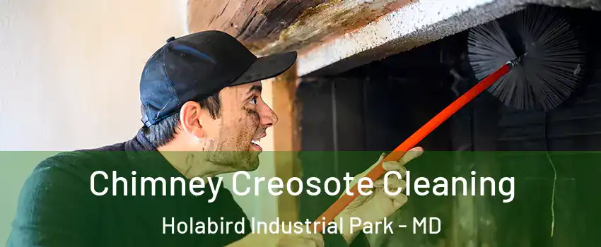 Chimney Creosote Cleaning Holabird Industrial Park - MD