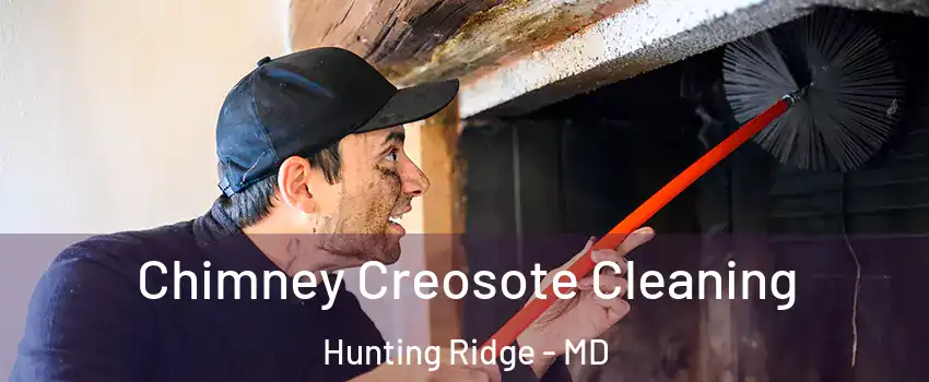 Chimney Creosote Cleaning Hunting Ridge - MD