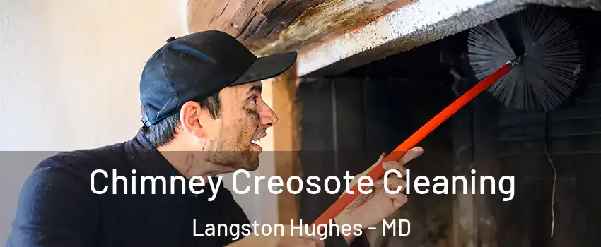 Chimney Creosote Cleaning Langston Hughes - MD