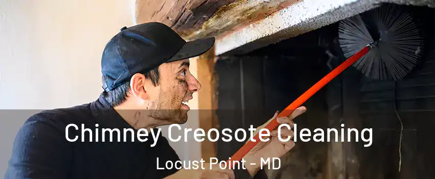 Chimney Creosote Cleaning Locust Point - MD