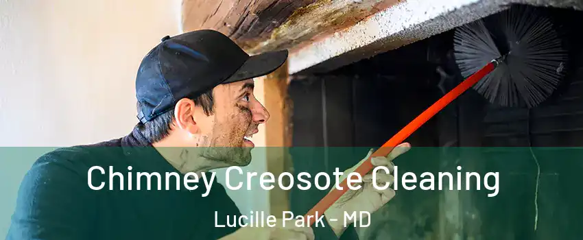 Chimney Creosote Cleaning Lucille Park - MD