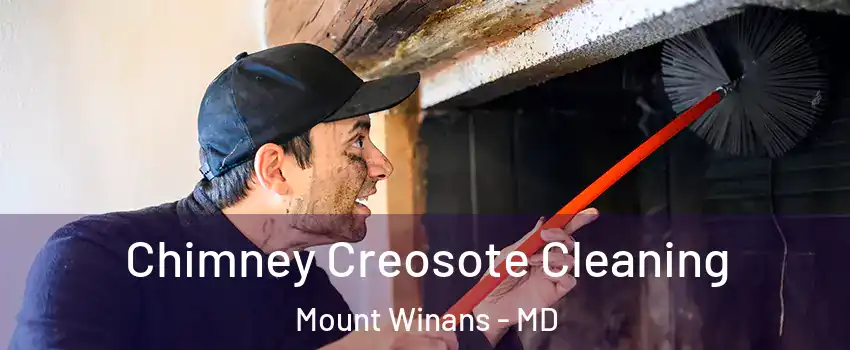 Chimney Creosote Cleaning Mount Winans - MD
