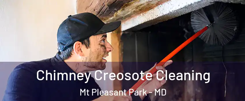 Chimney Creosote Cleaning Mt Pleasant Park - MD