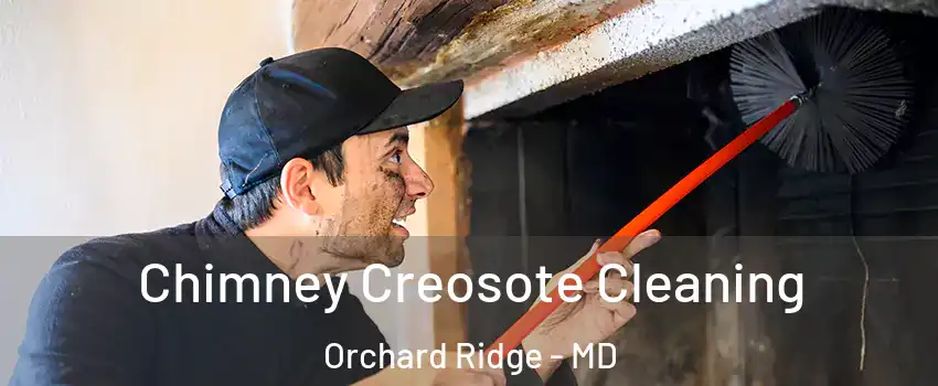 Chimney Creosote Cleaning Orchard Ridge - MD