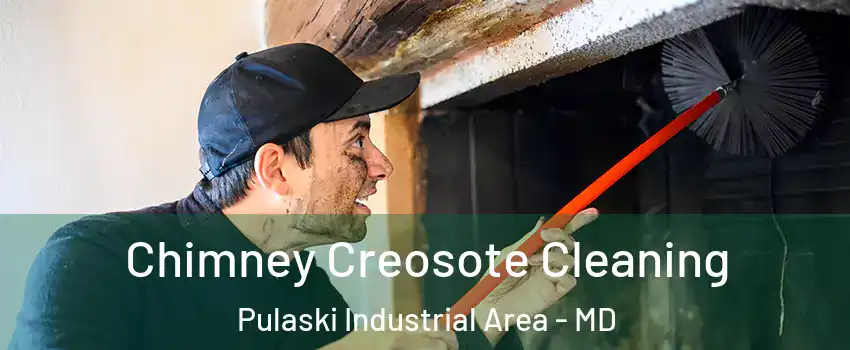 Chimney Creosote Cleaning Pulaski Industrial Area - MD