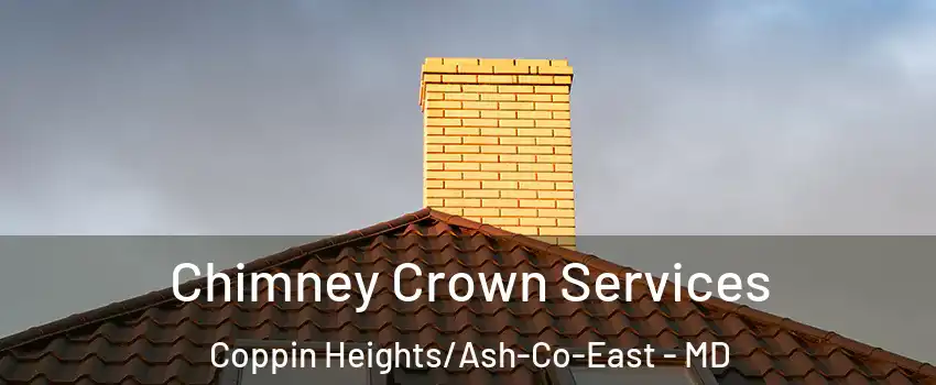 Chimney Crown Services Coppin Heights/Ash-Co-East - MD
