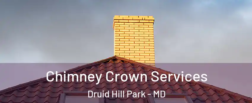 Chimney Crown Services Druid Hill Park - MD