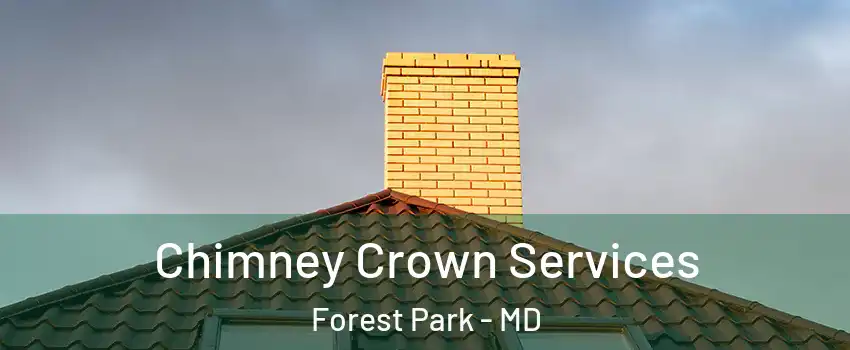 Chimney Crown Services Forest Park - MD