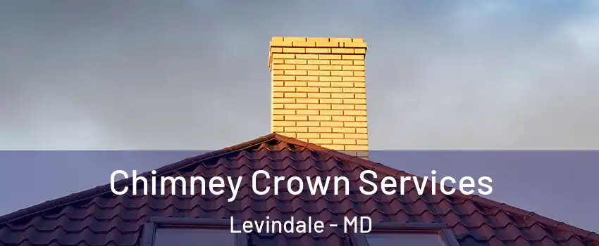 Chimney Crown Services Levindale - MD