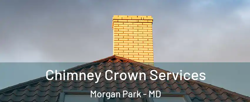 Chimney Crown Services Morgan Park - MD