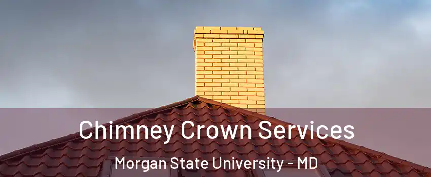 Chimney Crown Services Morgan State University - MD