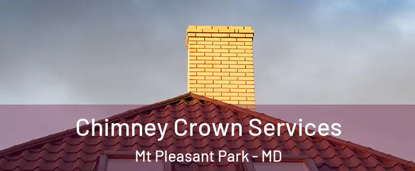 Chimney Crown Services Mt Pleasant Park - MD
