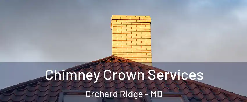 Chimney Crown Services Orchard Ridge - MD