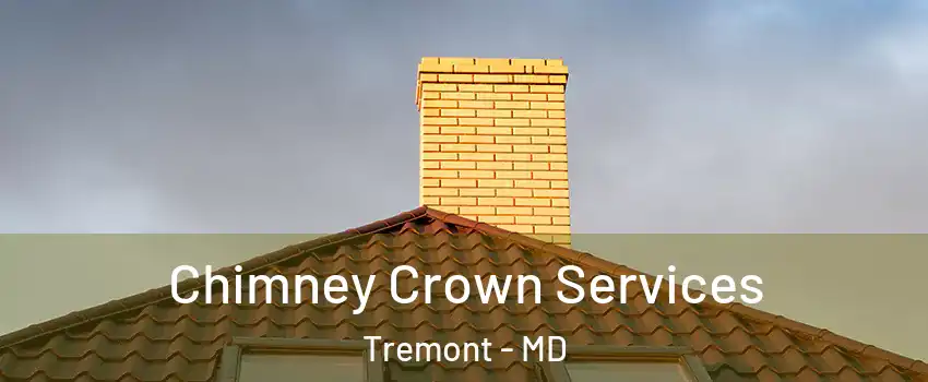 Chimney Crown Services Tremont - MD