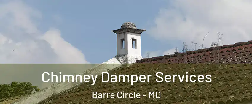Chimney Damper Services Barre Circle - MD
