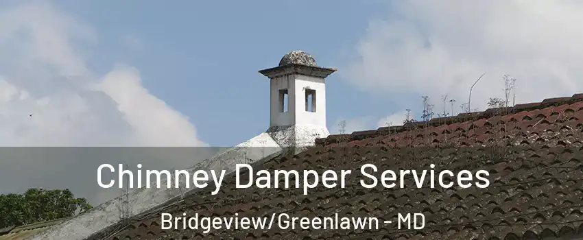Chimney Damper Services Bridgeview/Greenlawn - MD