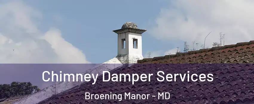 Chimney Damper Services Broening Manor - MD