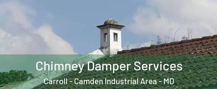 Chimney Damper Services Carroll - Camden Industrial Area - MD