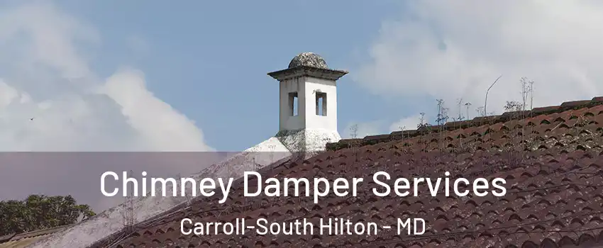 Chimney Damper Services Carroll-South Hilton - MD
