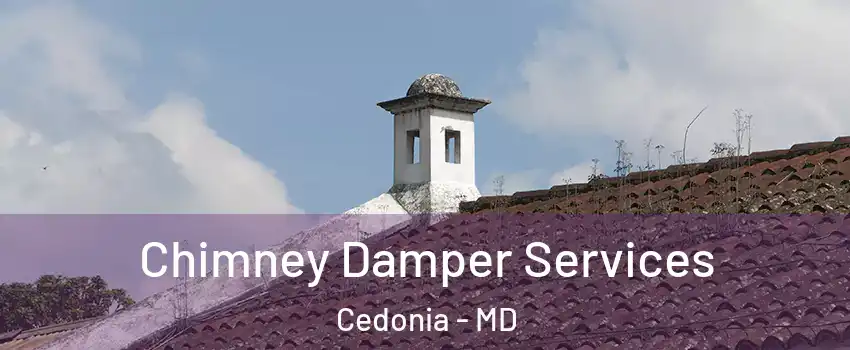 Chimney Damper Services Cedonia - MD