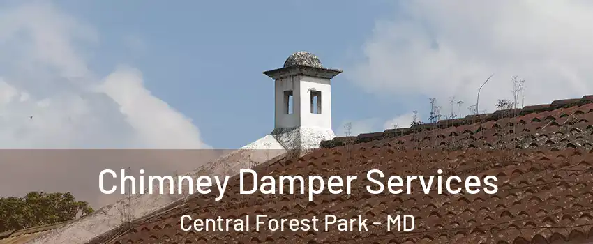 Chimney Damper Services Central Forest Park - MD