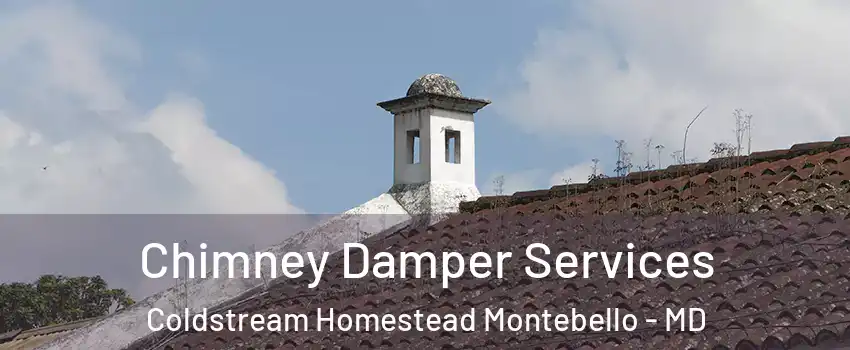 Chimney Damper Services Coldstream Homestead Montebello - MD