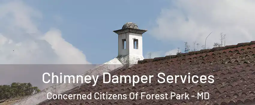 Chimney Damper Services Concerned Citizens Of Forest Park - MD