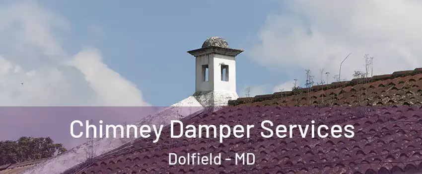 Chimney Damper Services Dolfield - MD