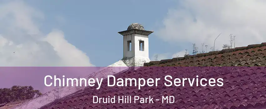 Chimney Damper Services Druid Hill Park - MD